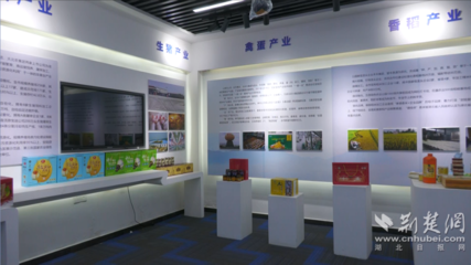 安陸鏈式招商 一根米粉串起的百億食品產(chǎn)業(yè)鏈與網(wǎng)絡(luò)文化經(jīng)營新路徑