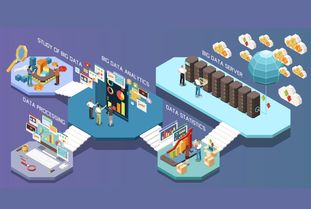 網紅種草 網絡文化經營時代的新營銷高地與消費者洞察賦能
